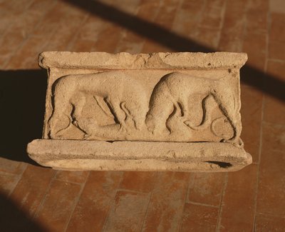 Arula by Roman